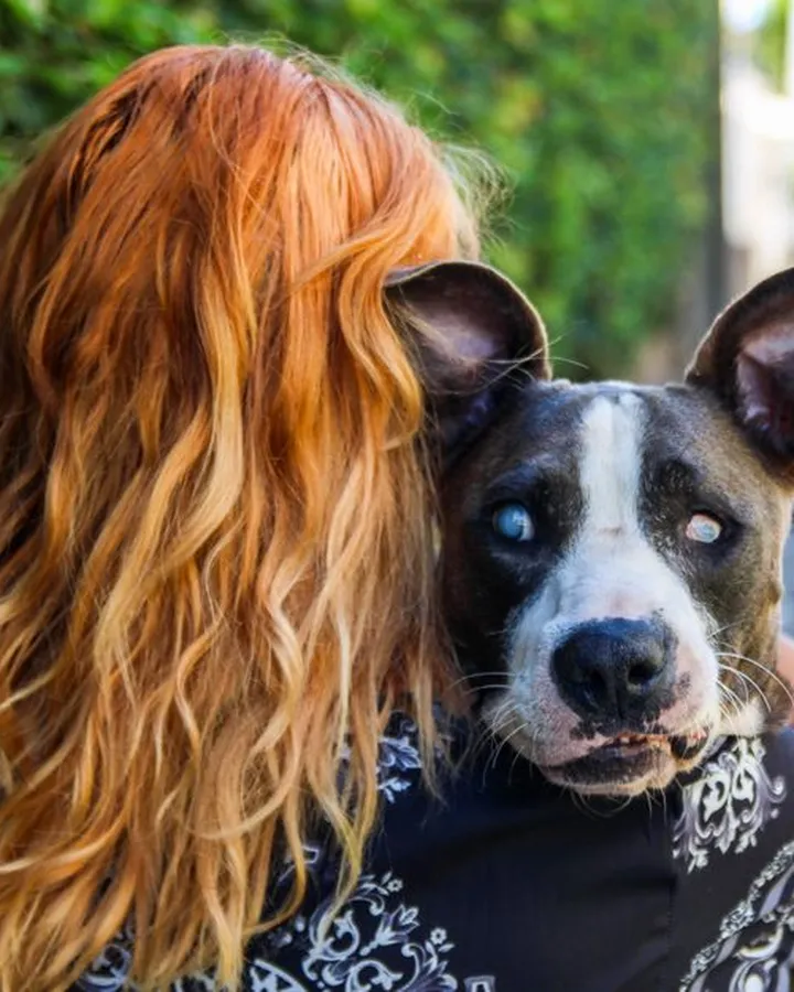 A woman with long red hair hugs her black-and-white rescue dog on a leafy street
